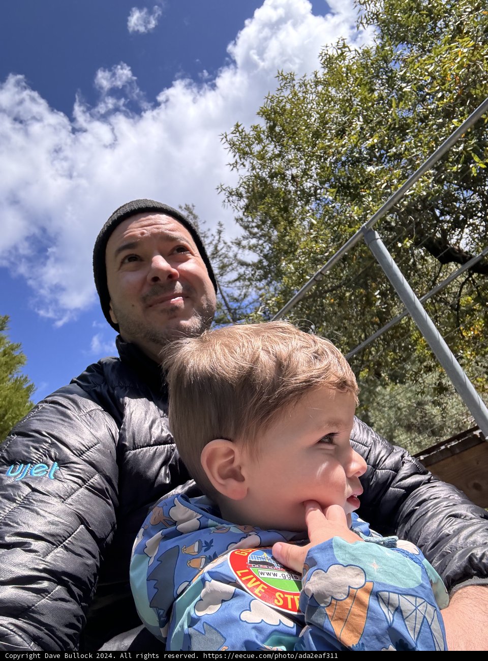 Springtime Adventures in Tilden Park