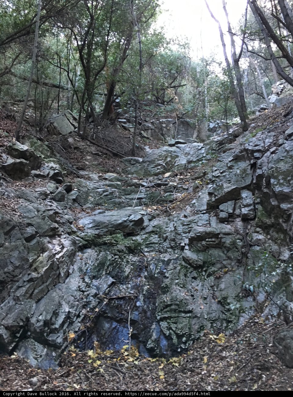 Serenity in the Slate Stream