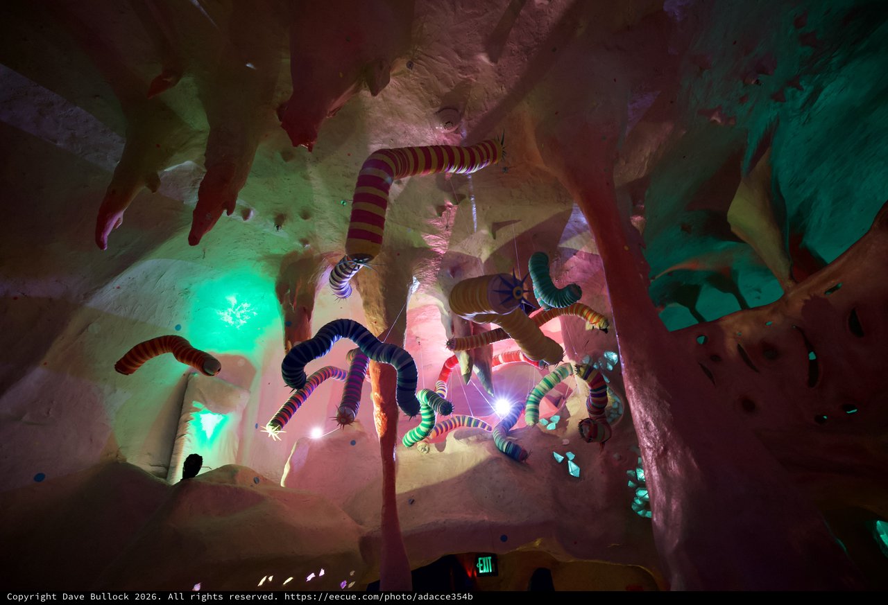 Whimsical Serpent Installation in Illuminated Cave Environment
