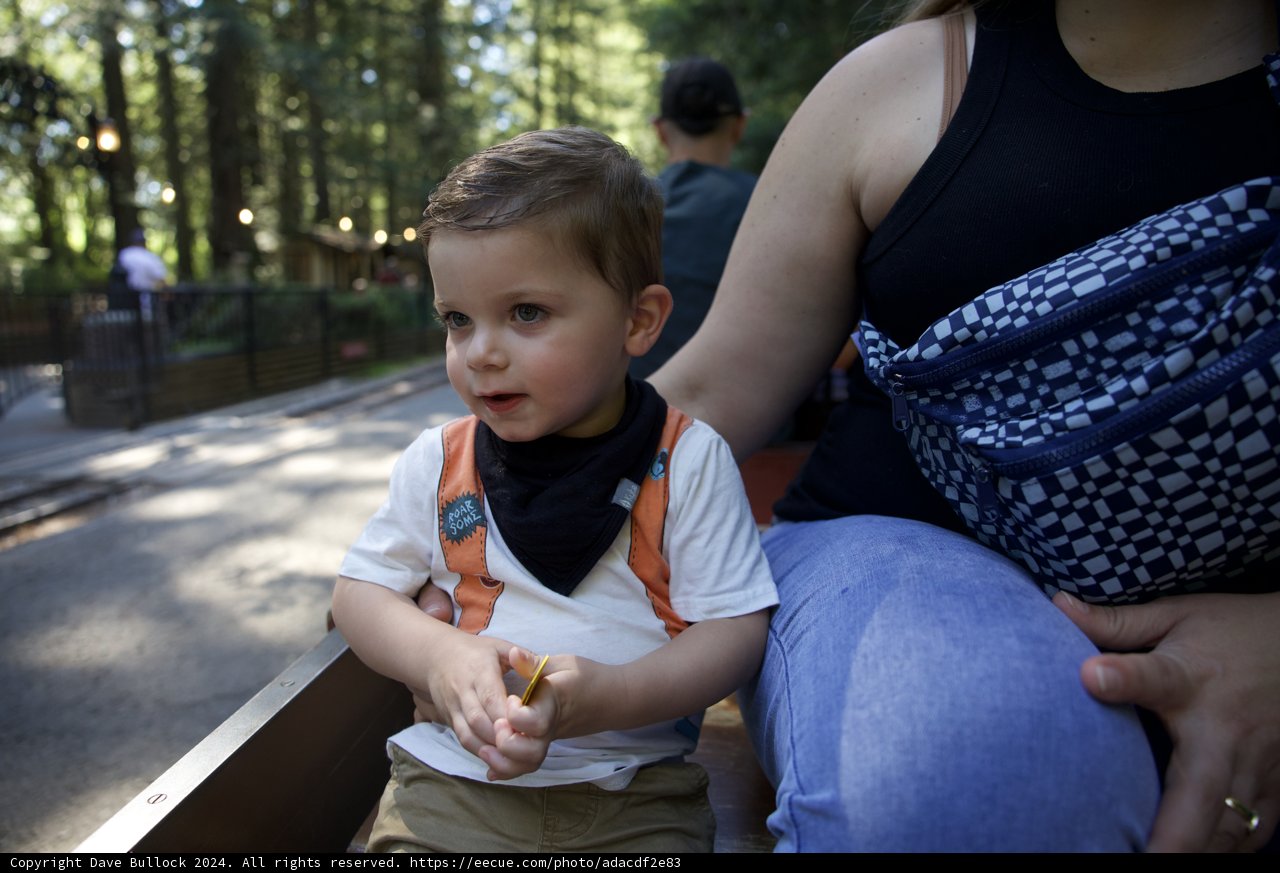 Wonder at Tilden Park