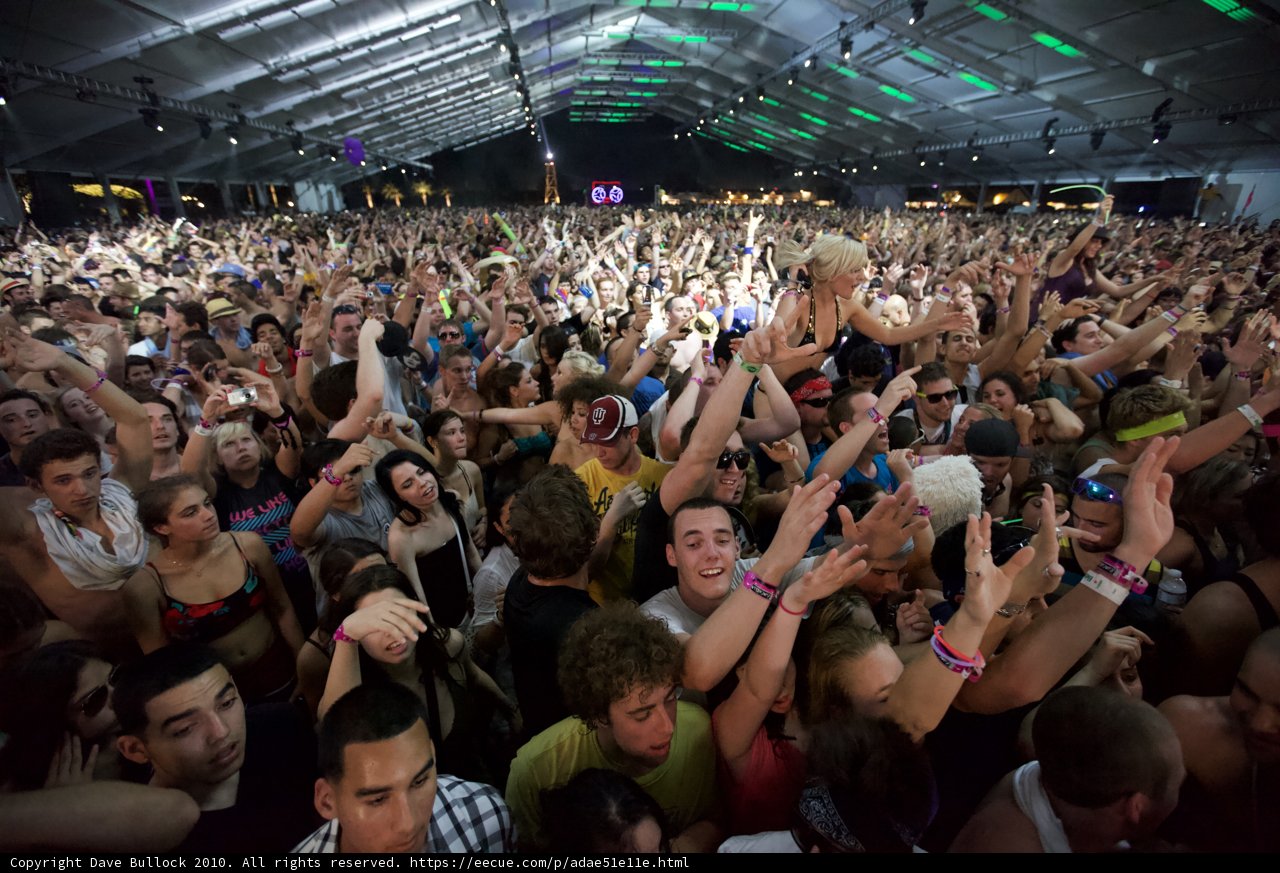 Coachella Music Festival Crowd