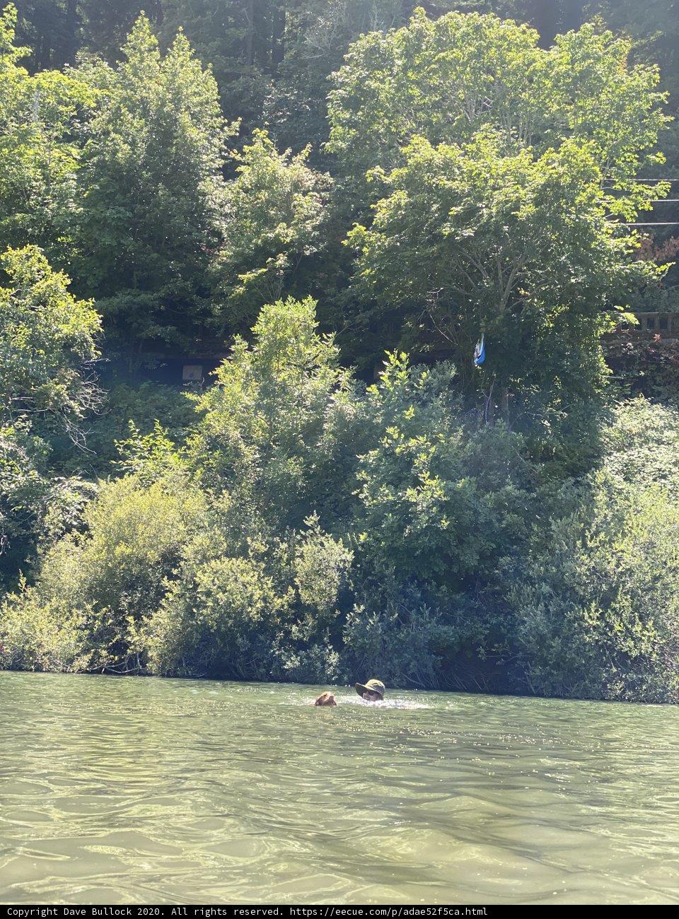 Summer Swim in the Russian River Wilderness