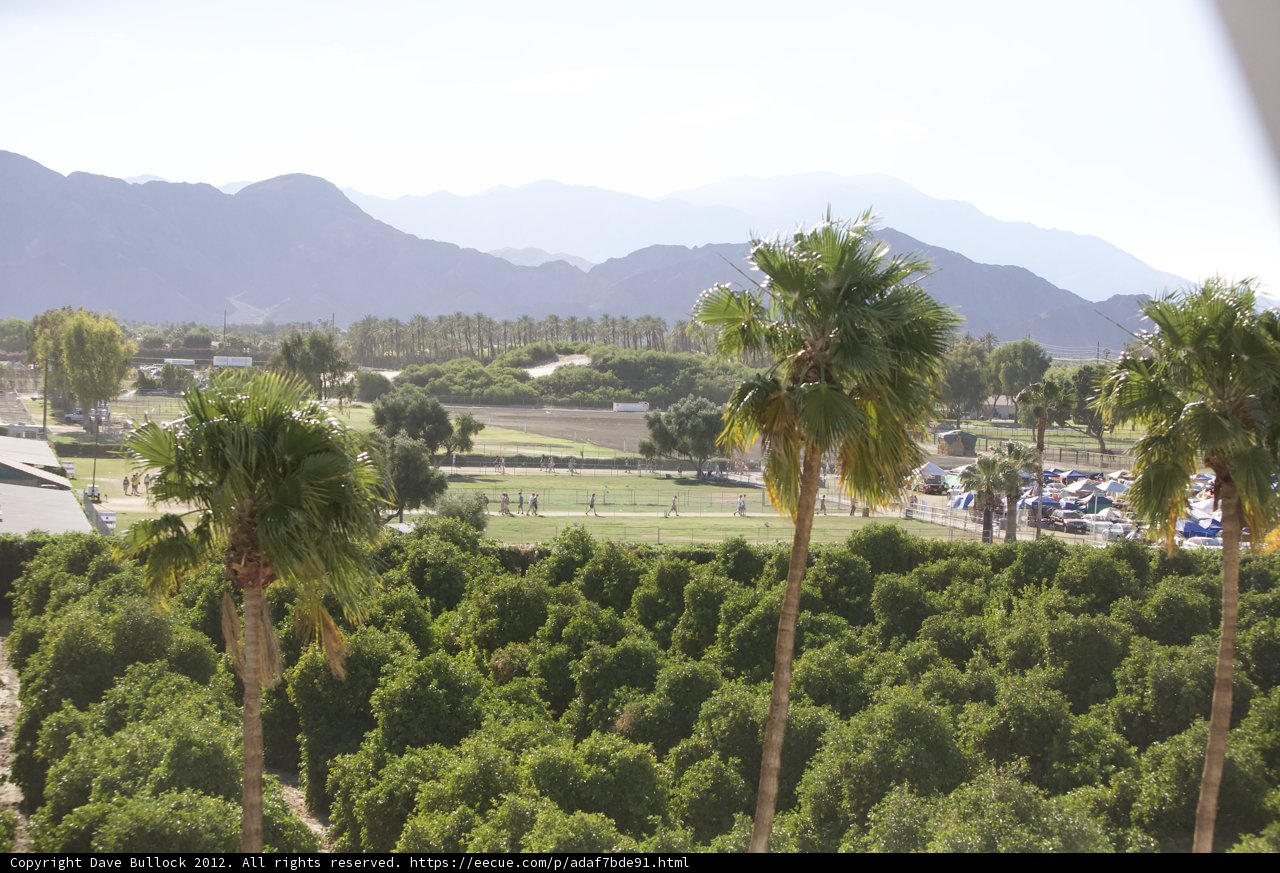 Window View of Palm Trees and Mountains