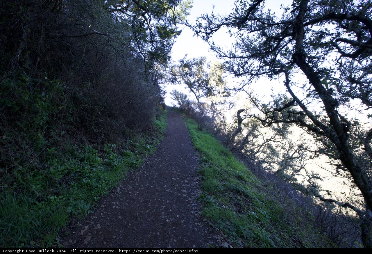 Enchanting Wilderness Trail