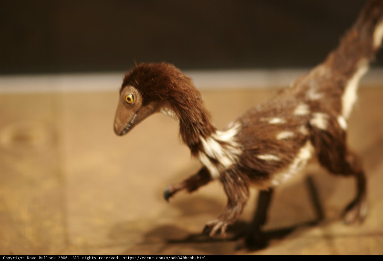 A Dinosaur's Outing