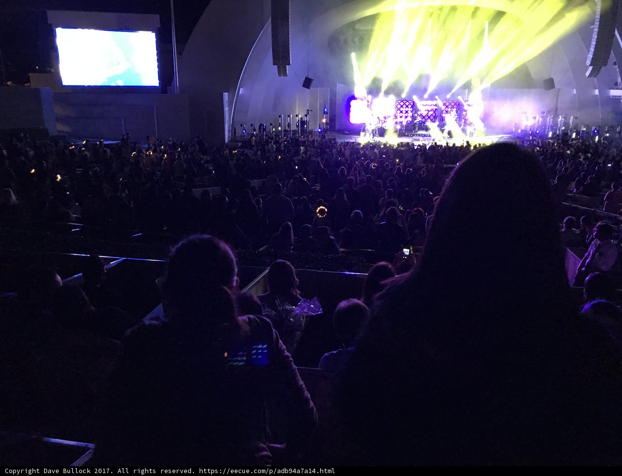 Rockin' the Night Away: A Concert Crowd Comes Alive