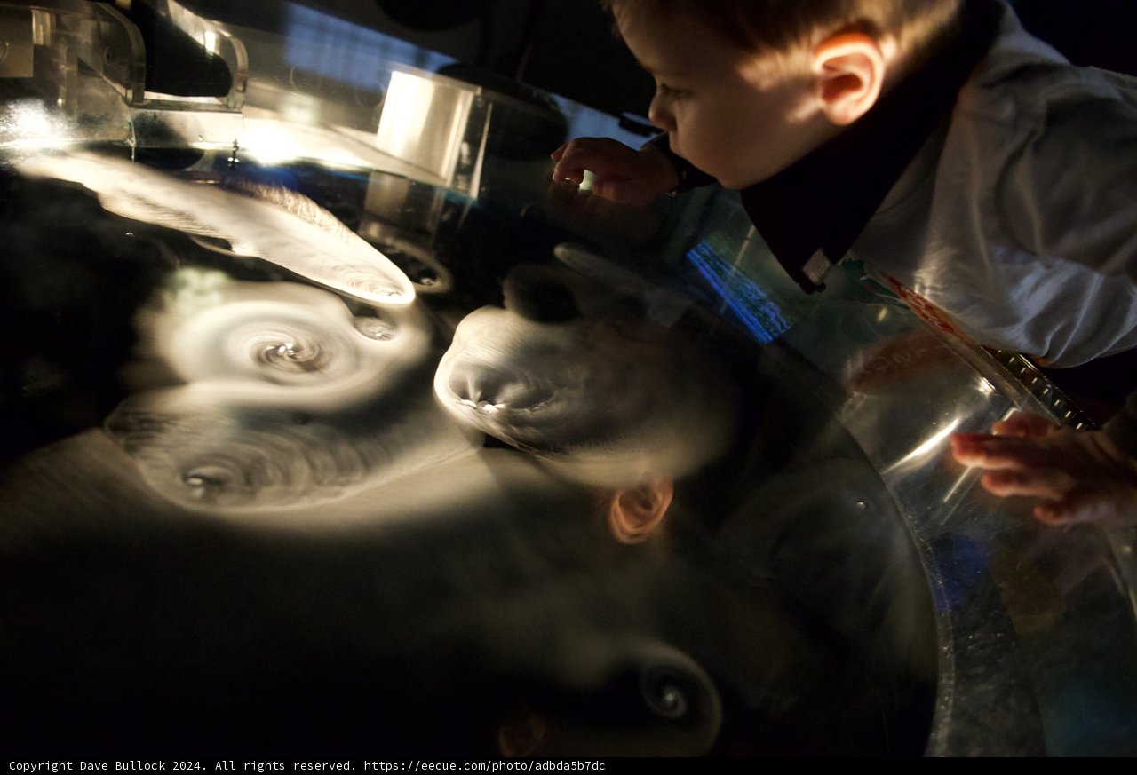 Exploring Nature: A Child's Wonder
