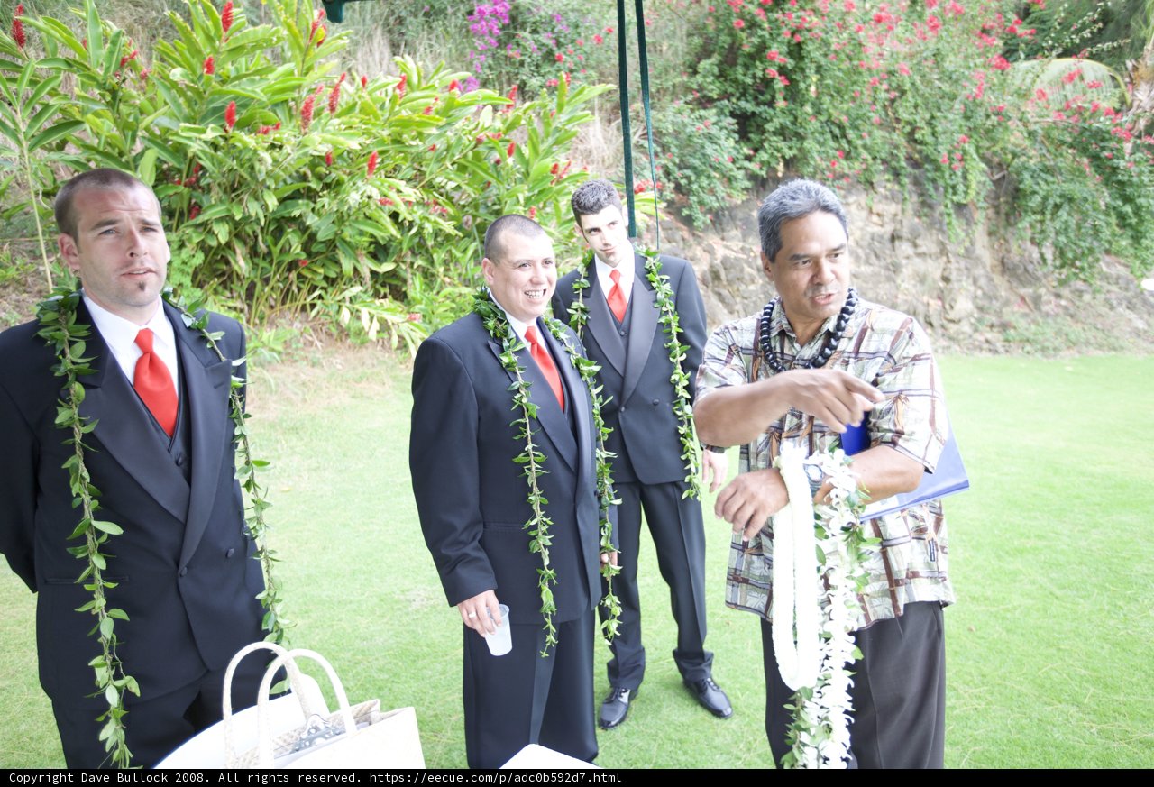 Hawaiian Wedding Vows