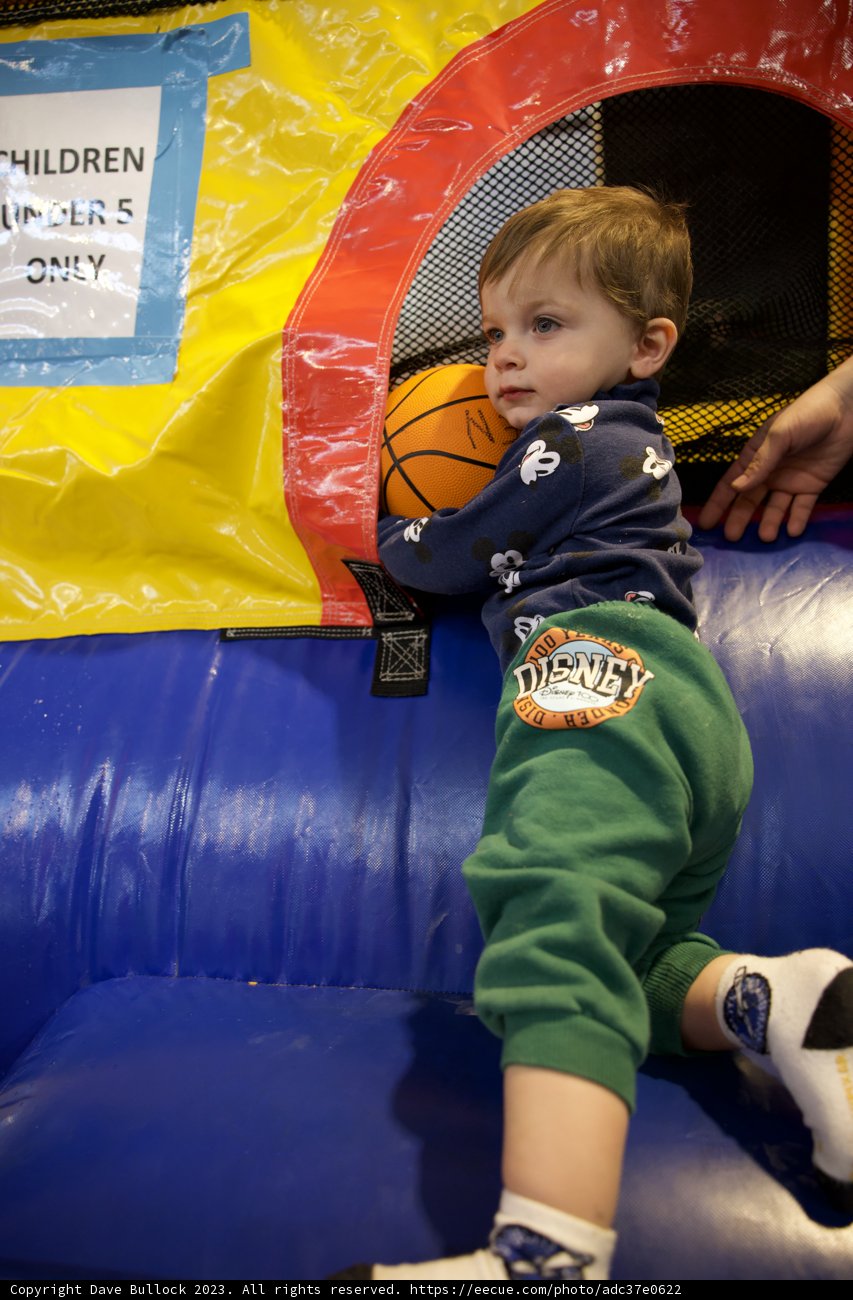 Bouncy Delight: Wesley's Playtime Escapade