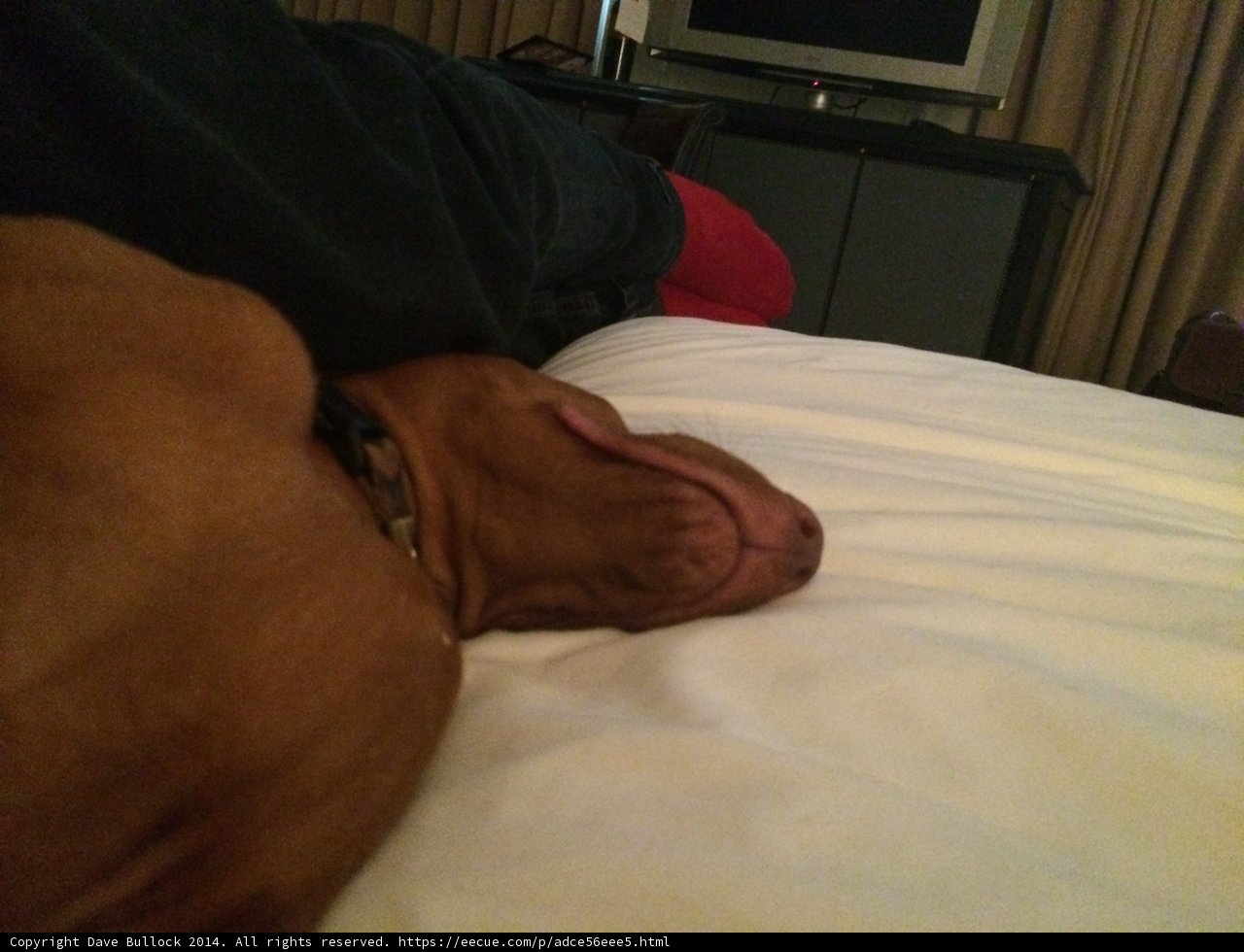 Lazy Days at Home