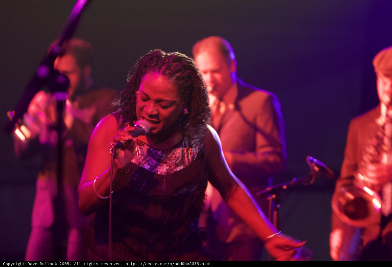 Electrifying Concert Performance