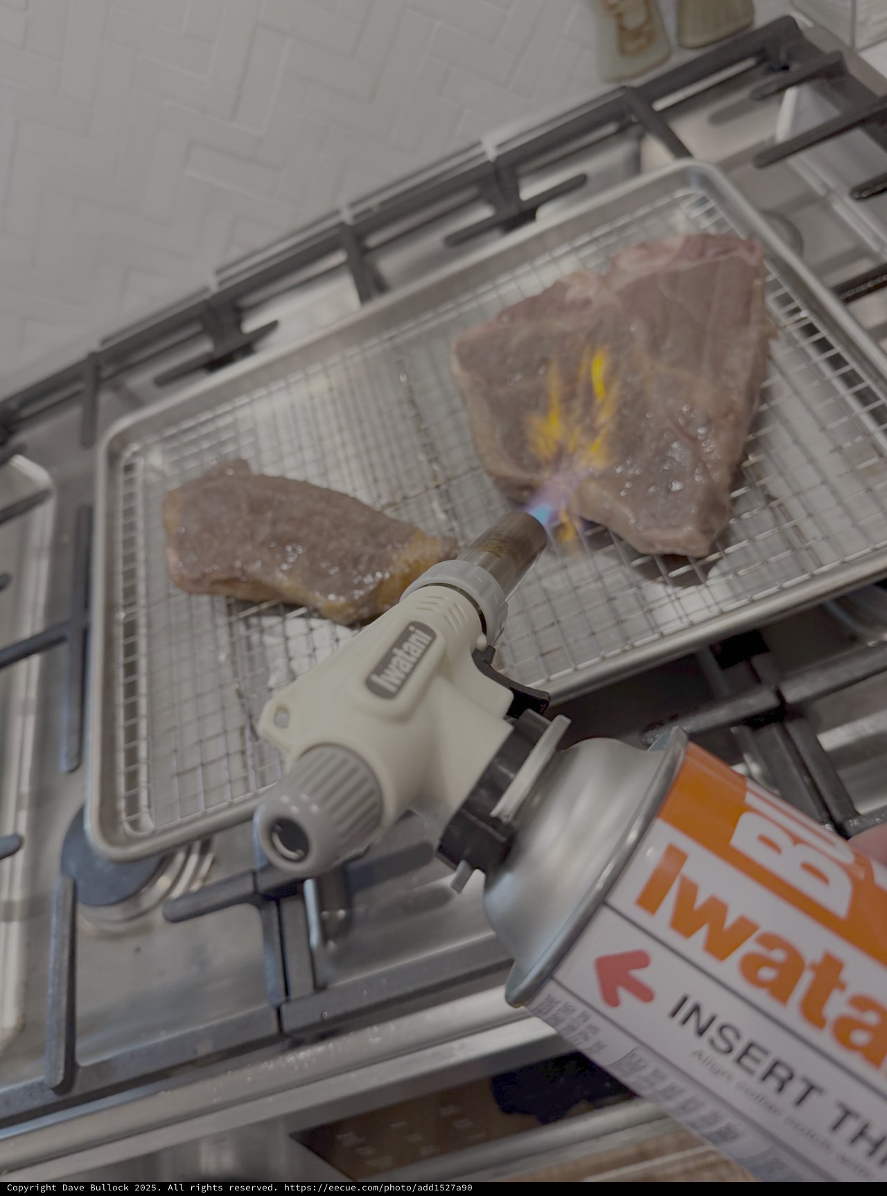 Culinary Torch Caramelizing Meat in Professional Kitchen