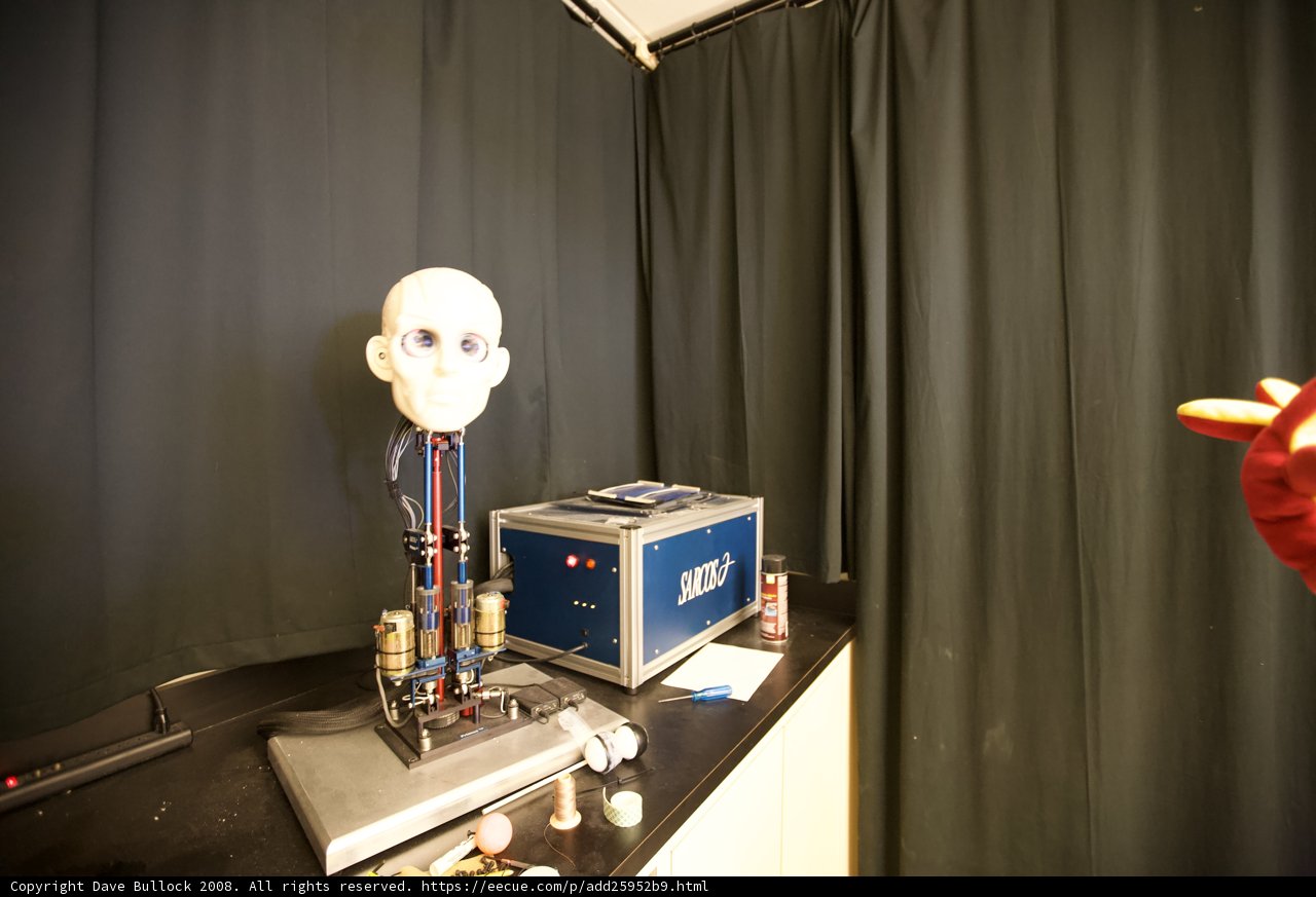 Red Glove Mannequin Head