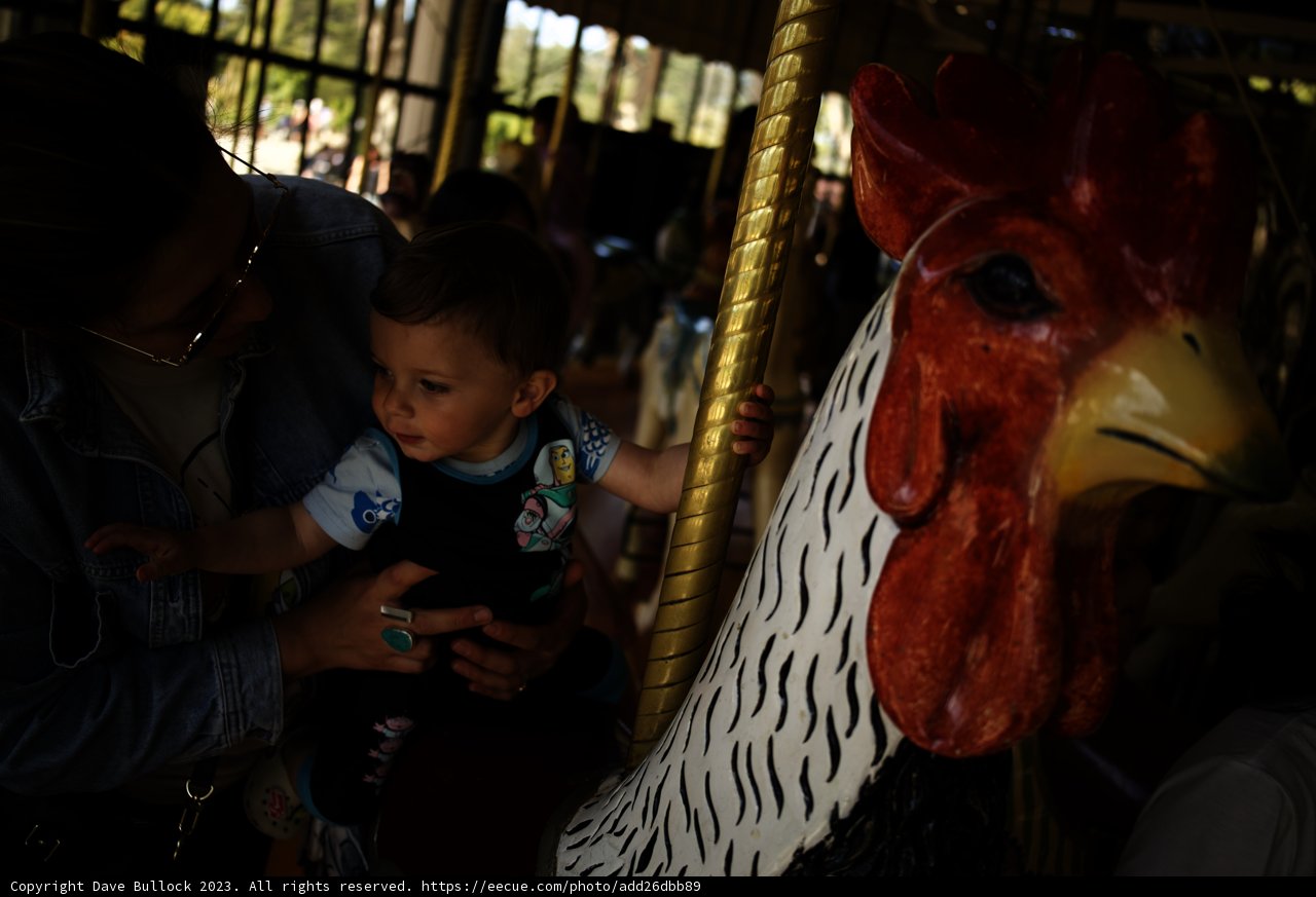 Whimsical Carousel Day at Golden Gate Park