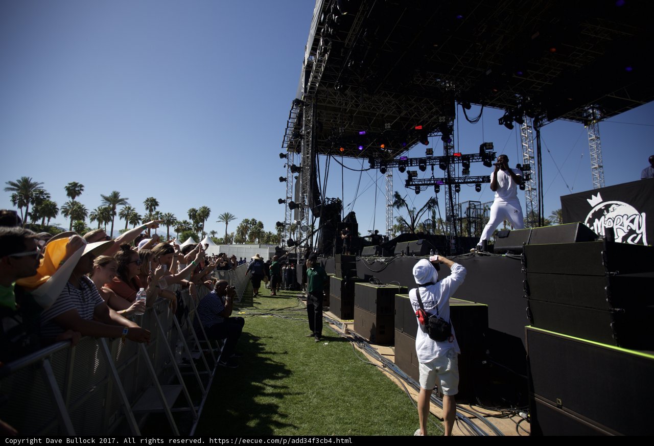 Grooving to the Beat at Coachella