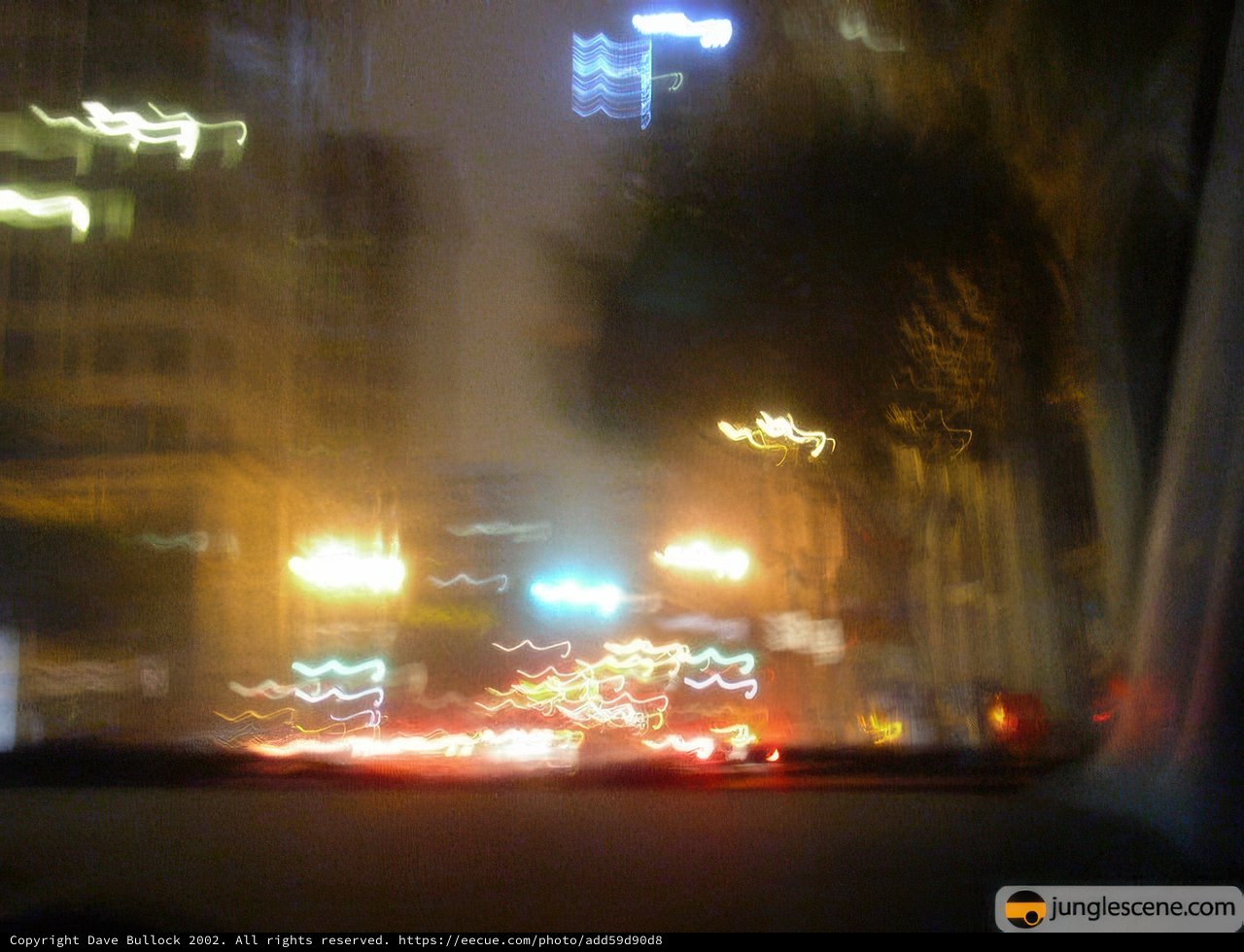 Night Lights