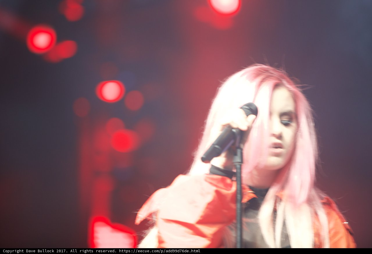 Pink-haired Woman Rocks Out on Coachella Stage