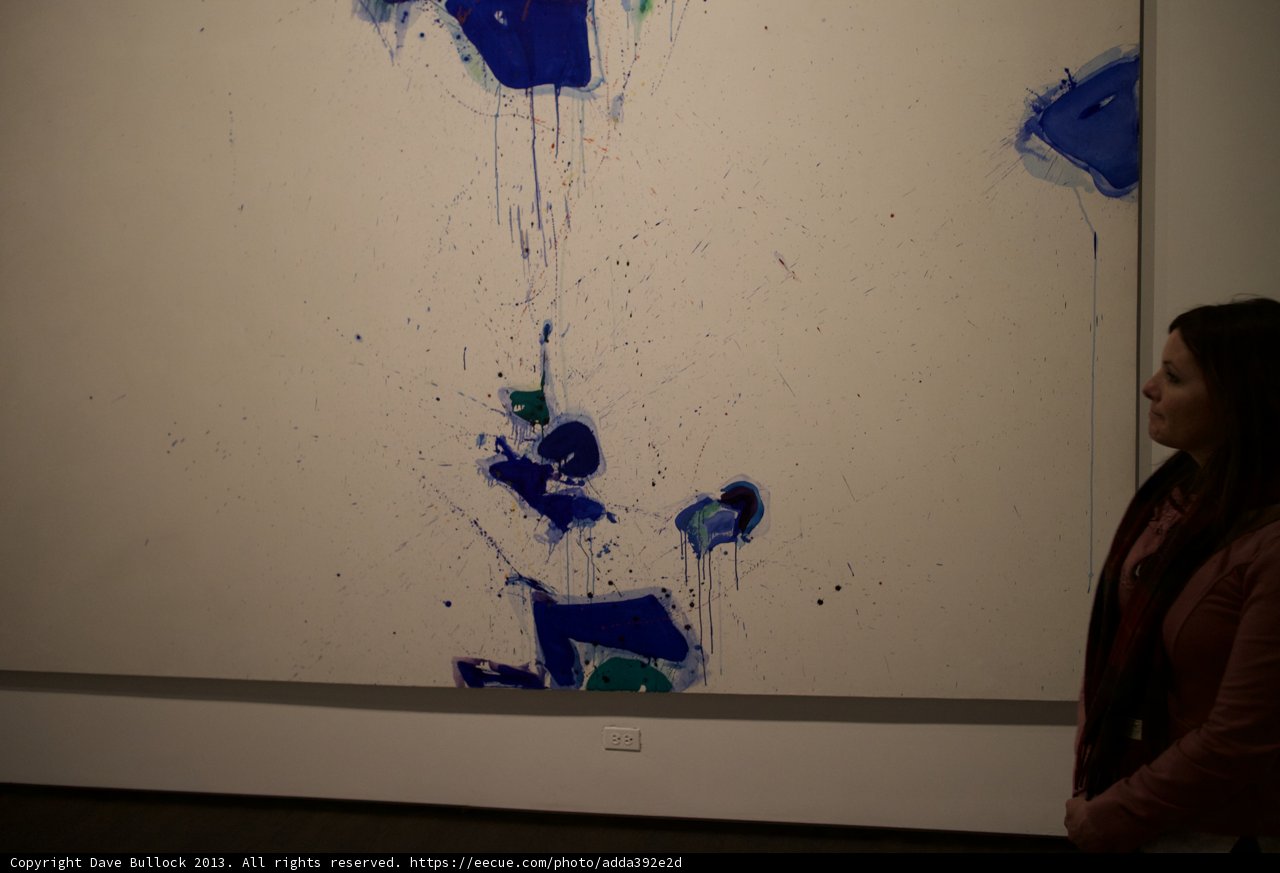 A Woman Contemplates Modern Art