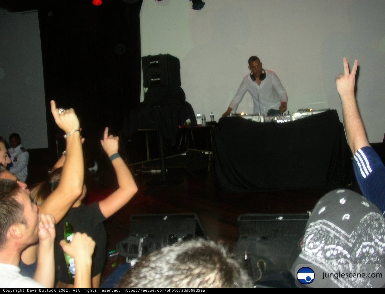DJ Gets Crowds Pumped at Concert