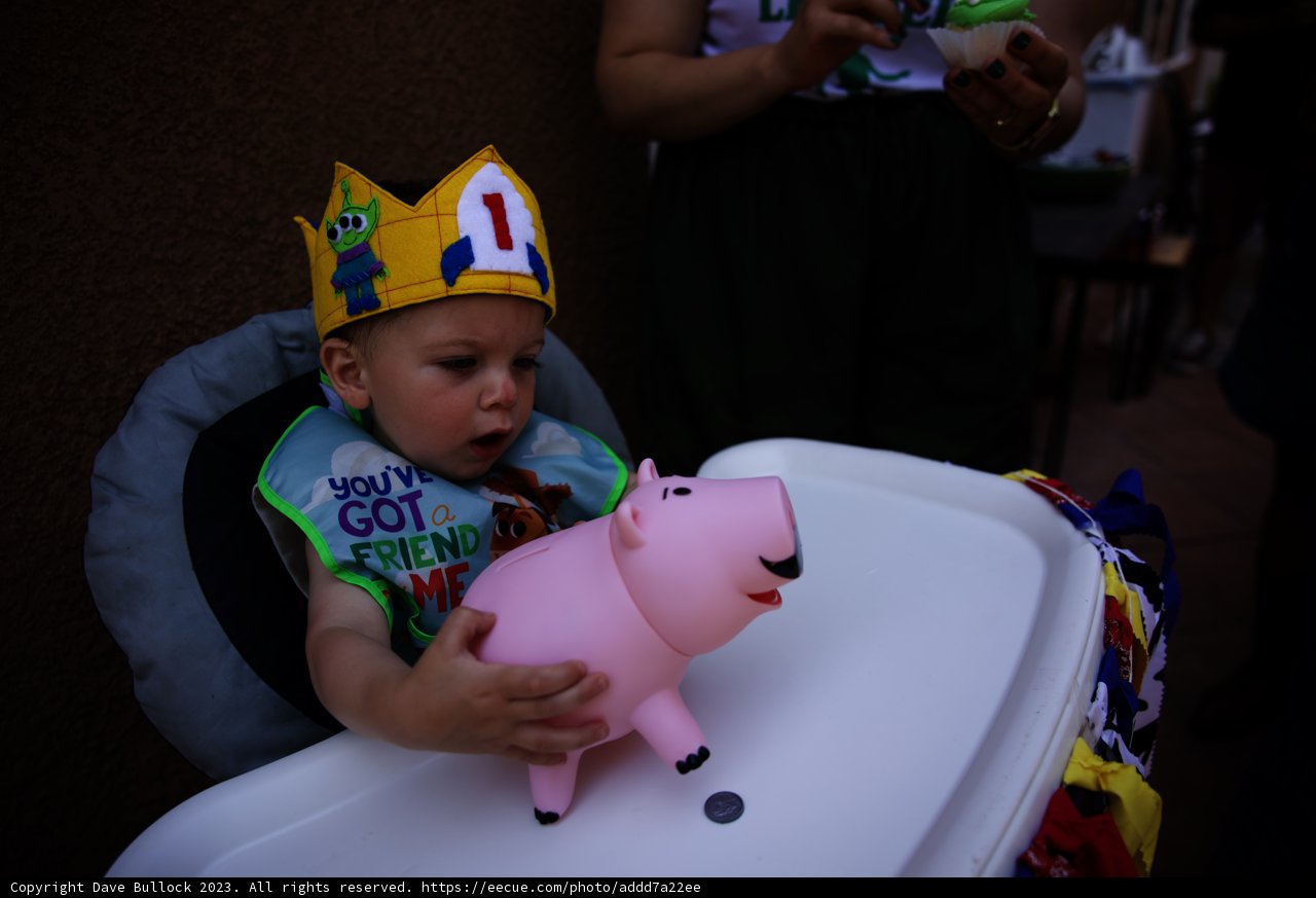A Royal Celebration for Baby Wesley