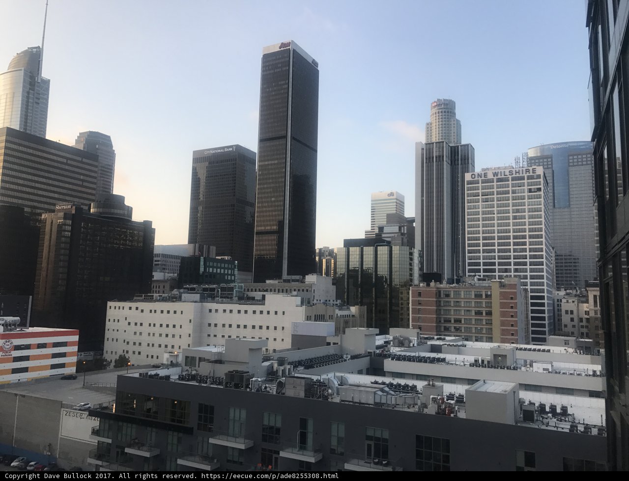 Urban Oasis