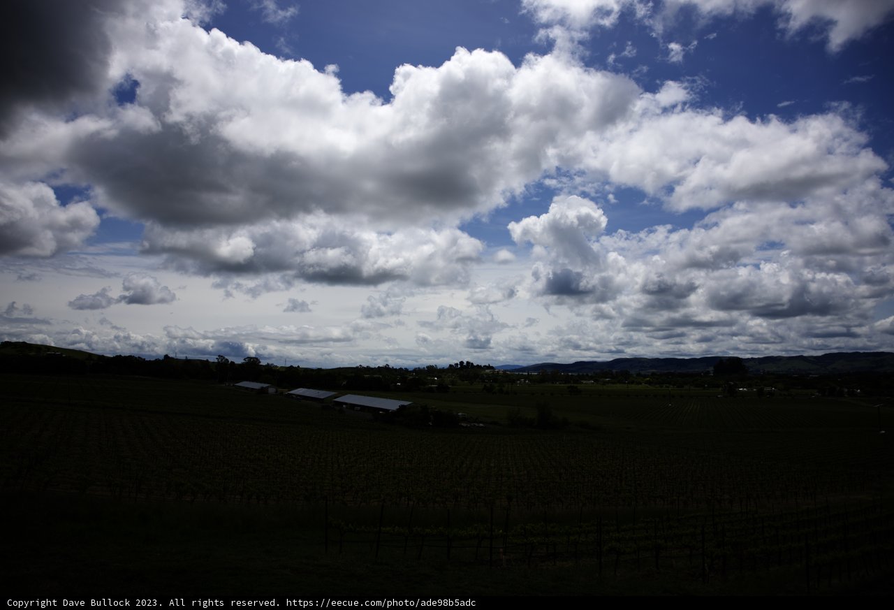 Serenity in Scribe Vineyard, Sonoma