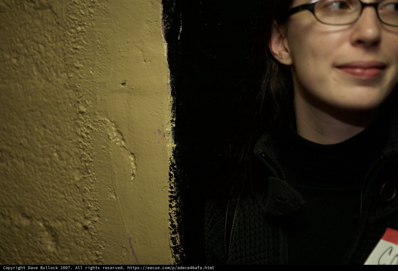 Yellow Wall Portrait