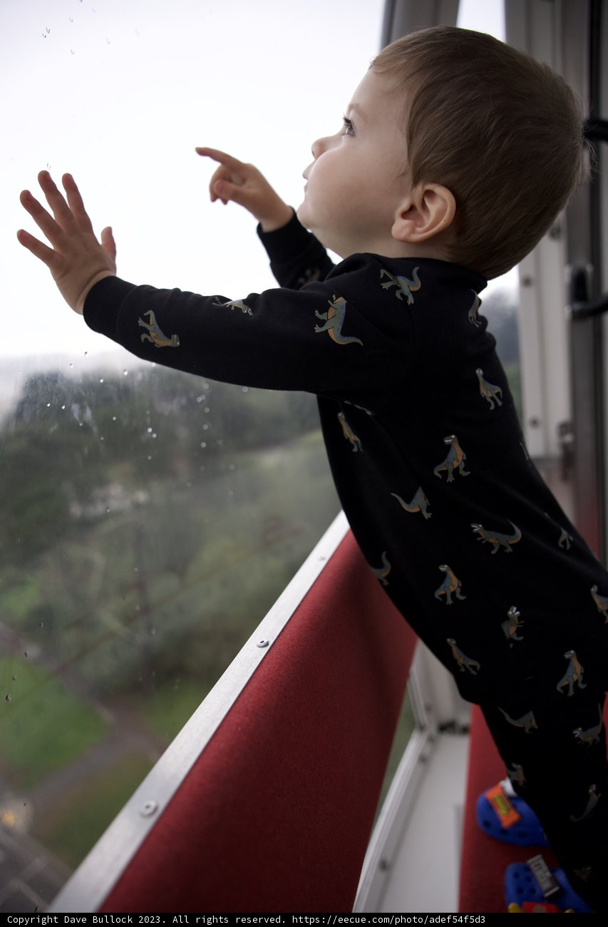 Reaching High - Wesley's Day at Golden Gate Park