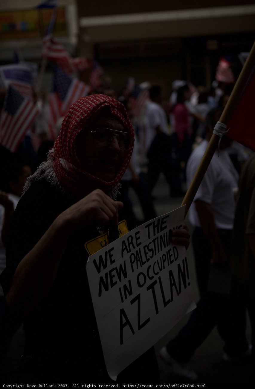 The New Immigrants