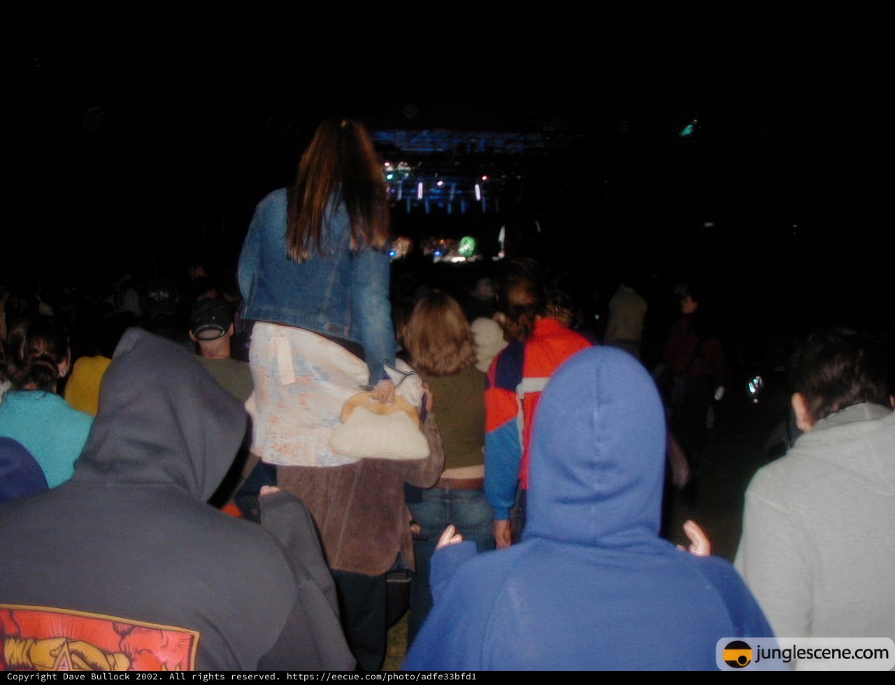 Crowd-surfing at Coachella