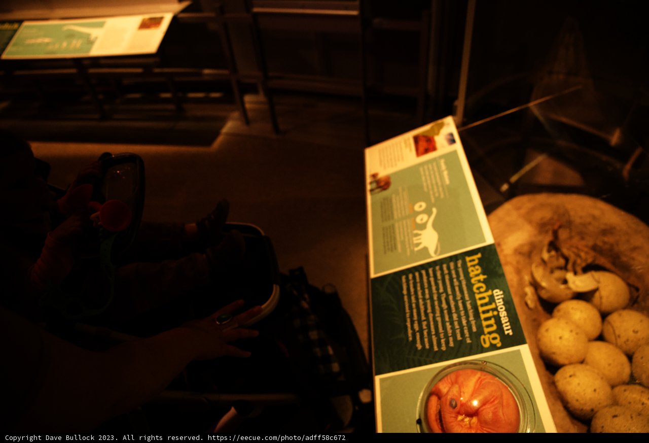 Family Time at the California Academy of Sciences