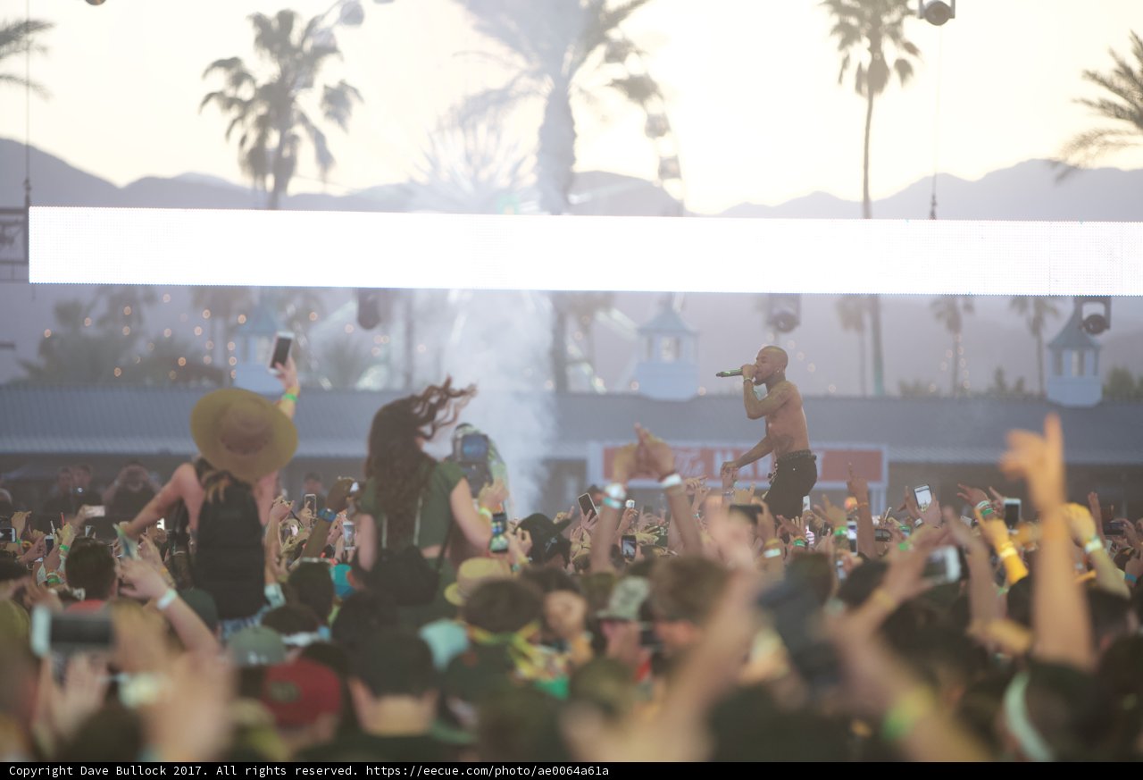 Concertgoers Party Among the Trees at Coachella 2017