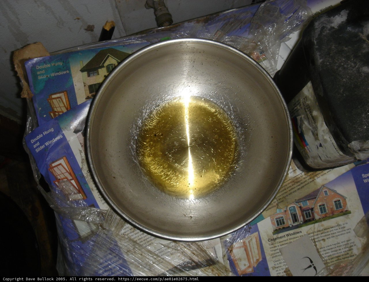 Sizzling Yellow Delight
