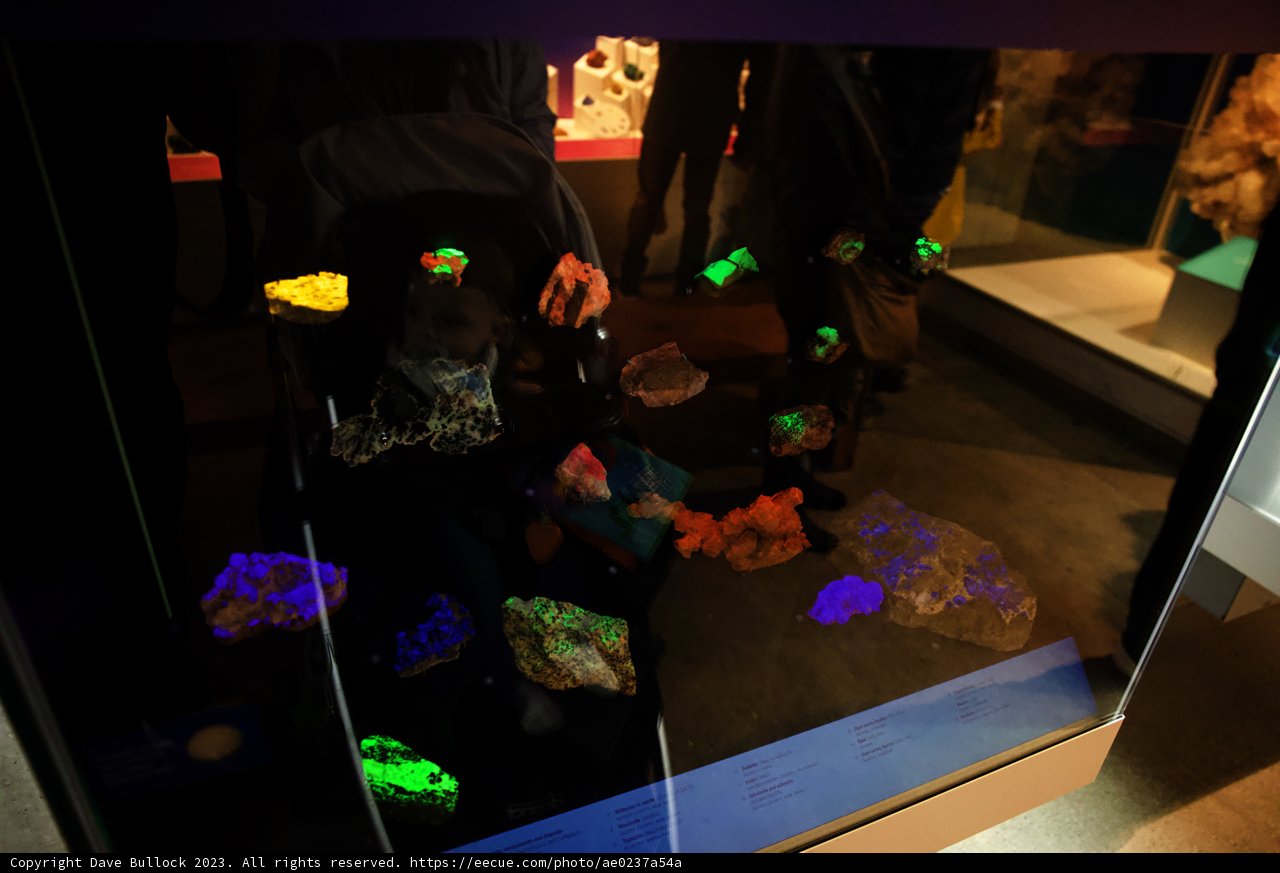 A Gem of a Moment at California Academy of Sciences