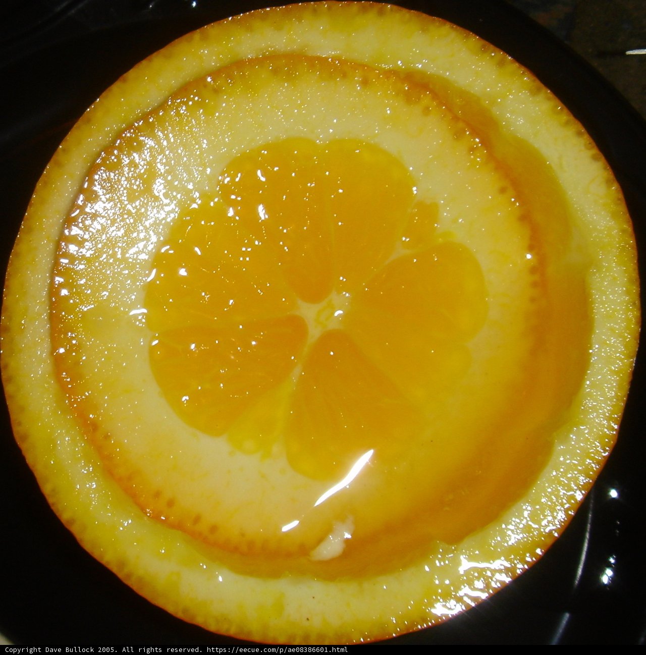 Juicy Citrus Slice