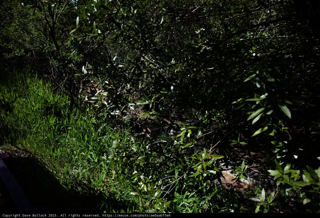 Enchanting Train Journey through Tilden Park