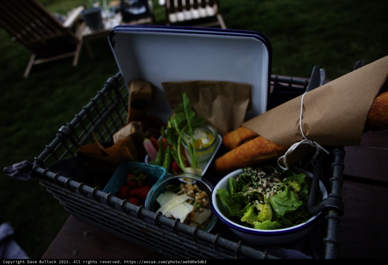 A Relaxing Picnic in Sonoma