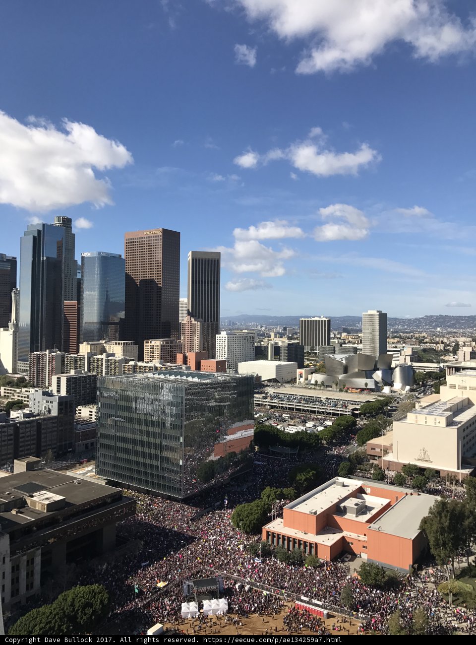 View From Above: Los Angeles Cityscape