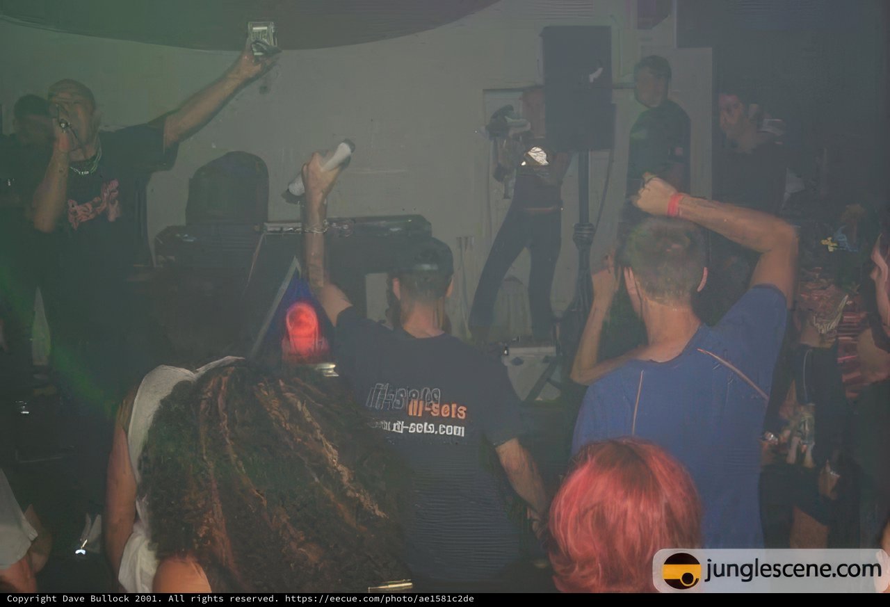 Hands Up in the Nightclub