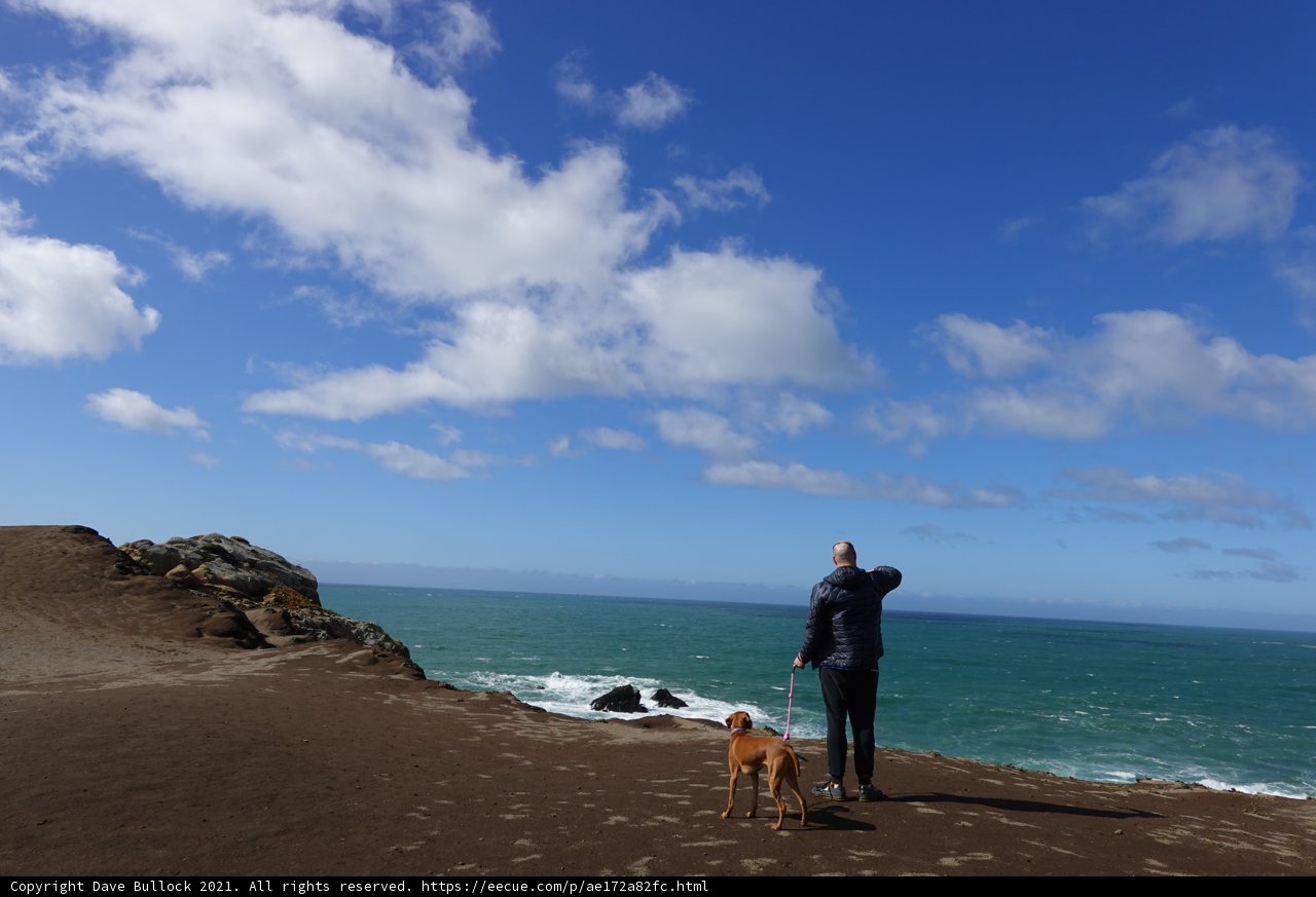 Overlooking the Majestic Pacific Ocean