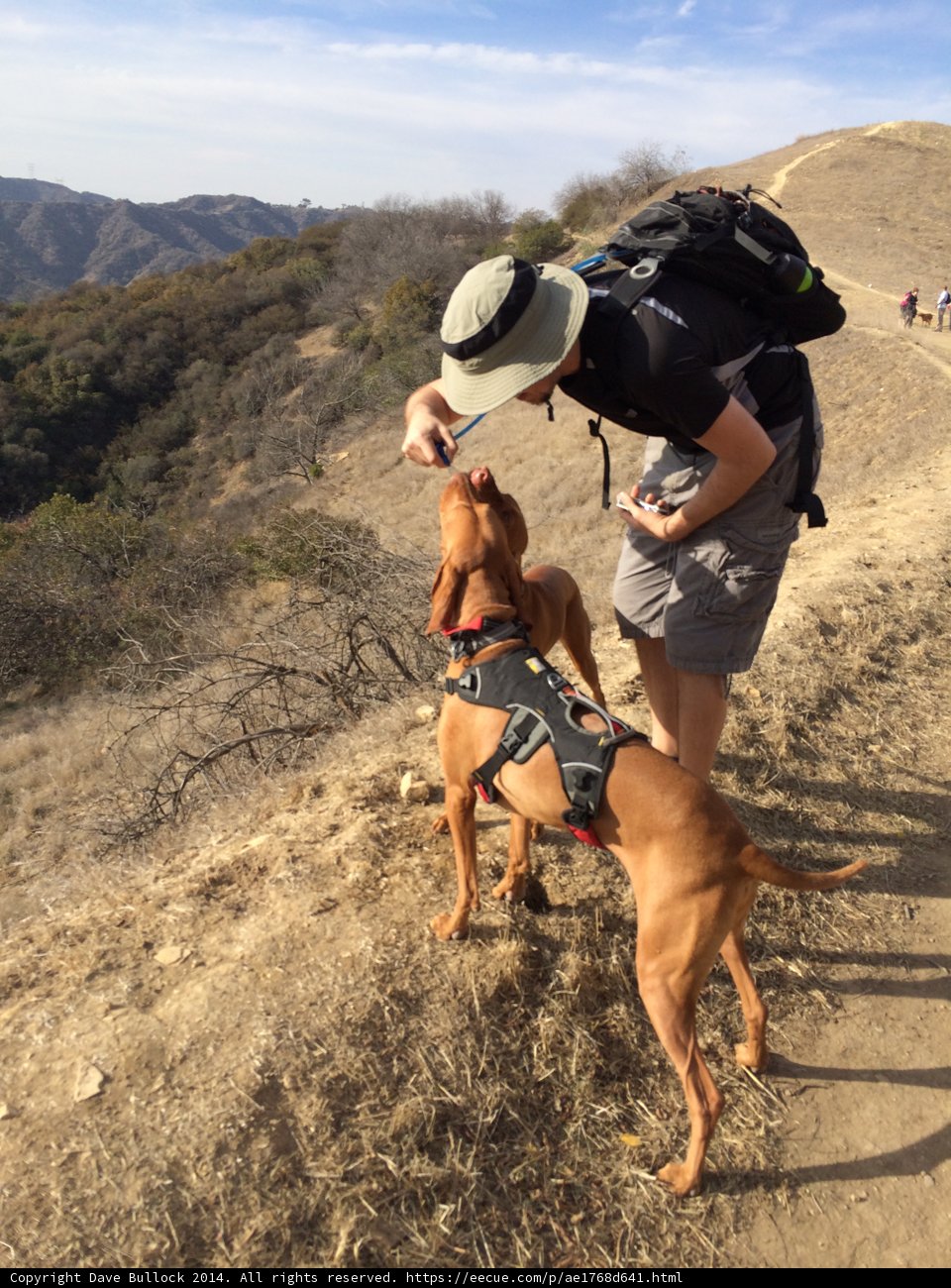 Hiking with My Furry Best Friend