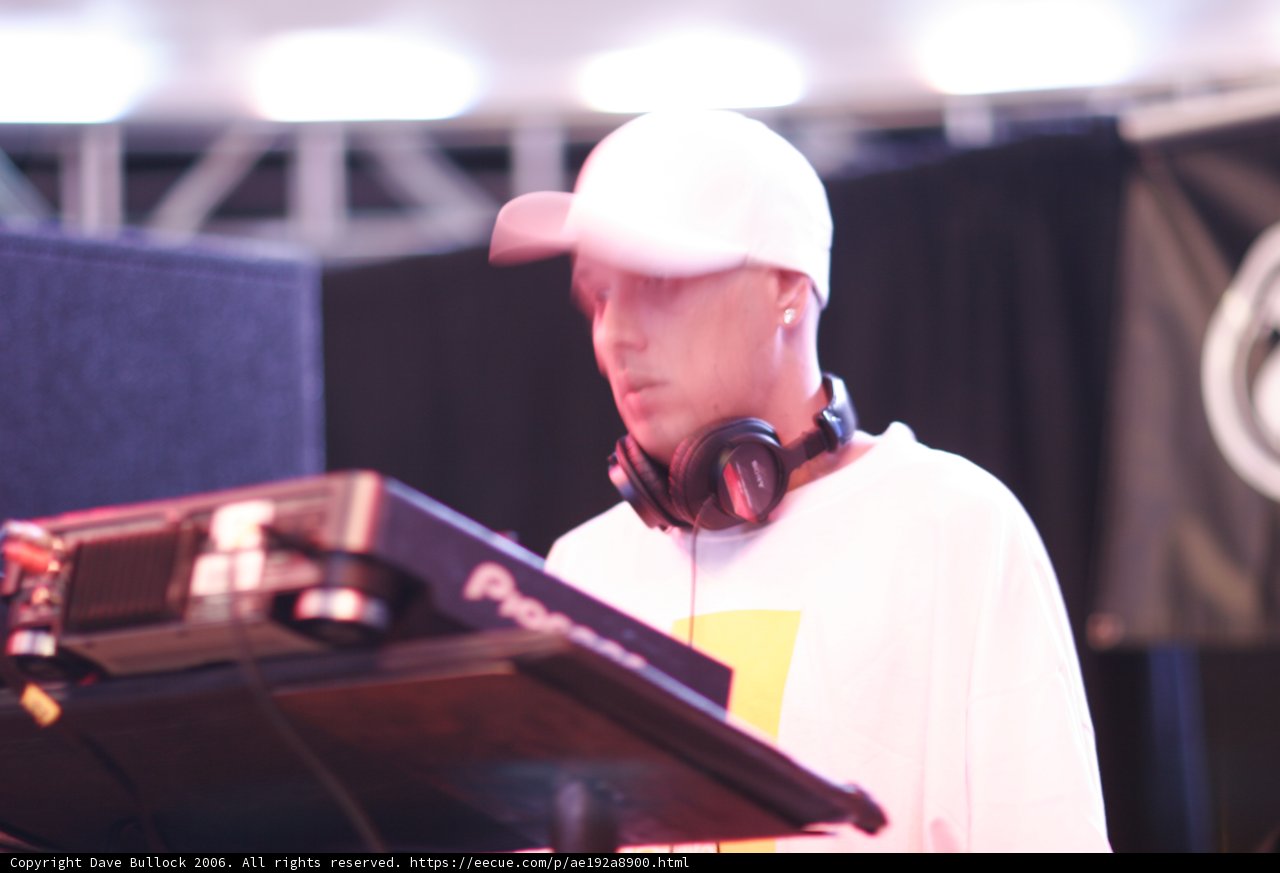 DJ S Rocks the Crowd