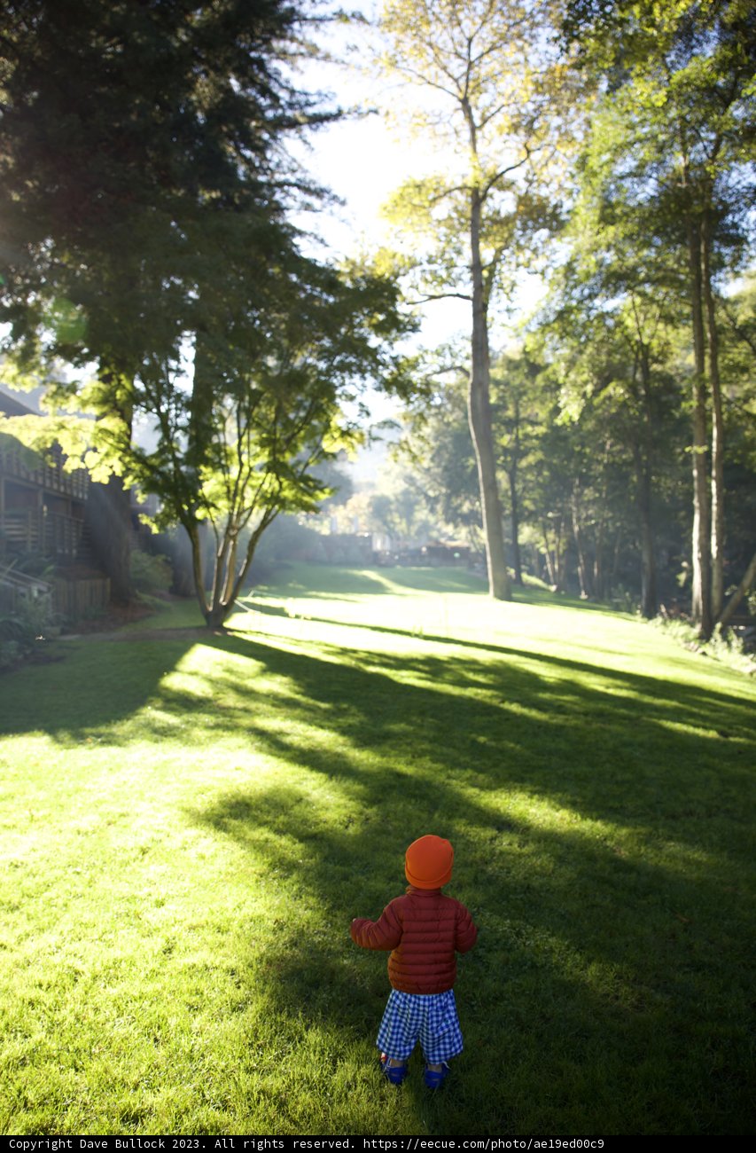 Mornings at Big Sur: A Love for Frisbee