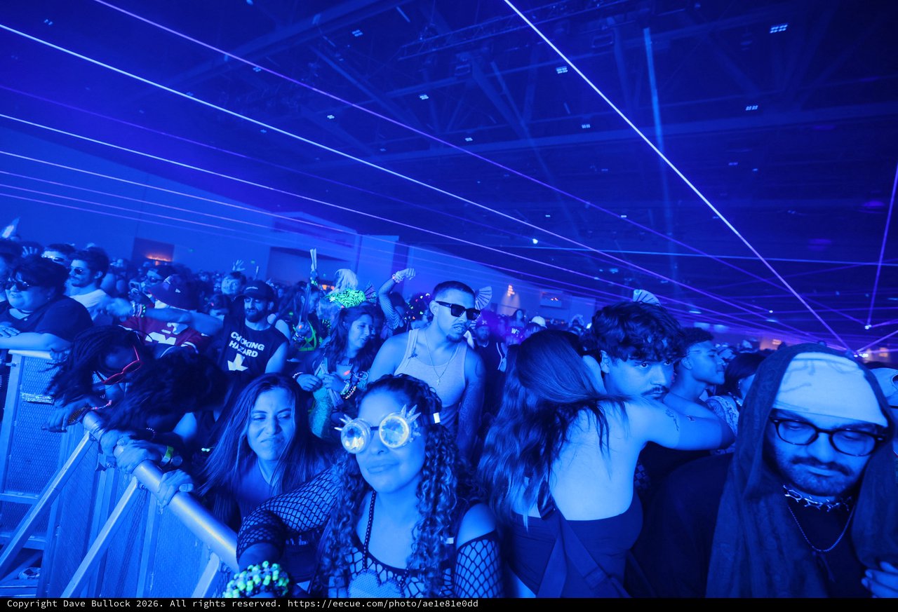 Electric Blue Crowd at Wobbleland Festival 2026