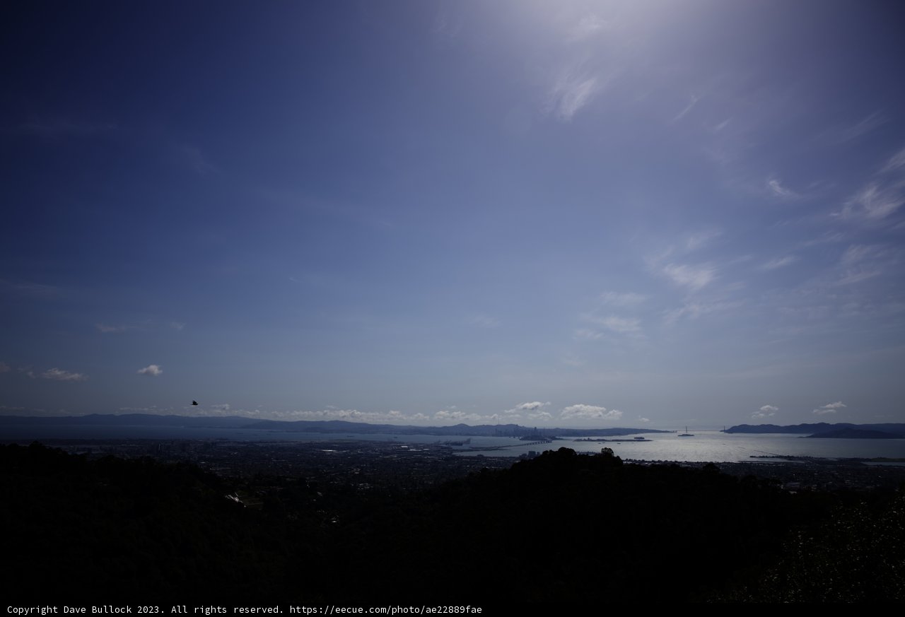 A Breathtaking Bay View in Berkeley