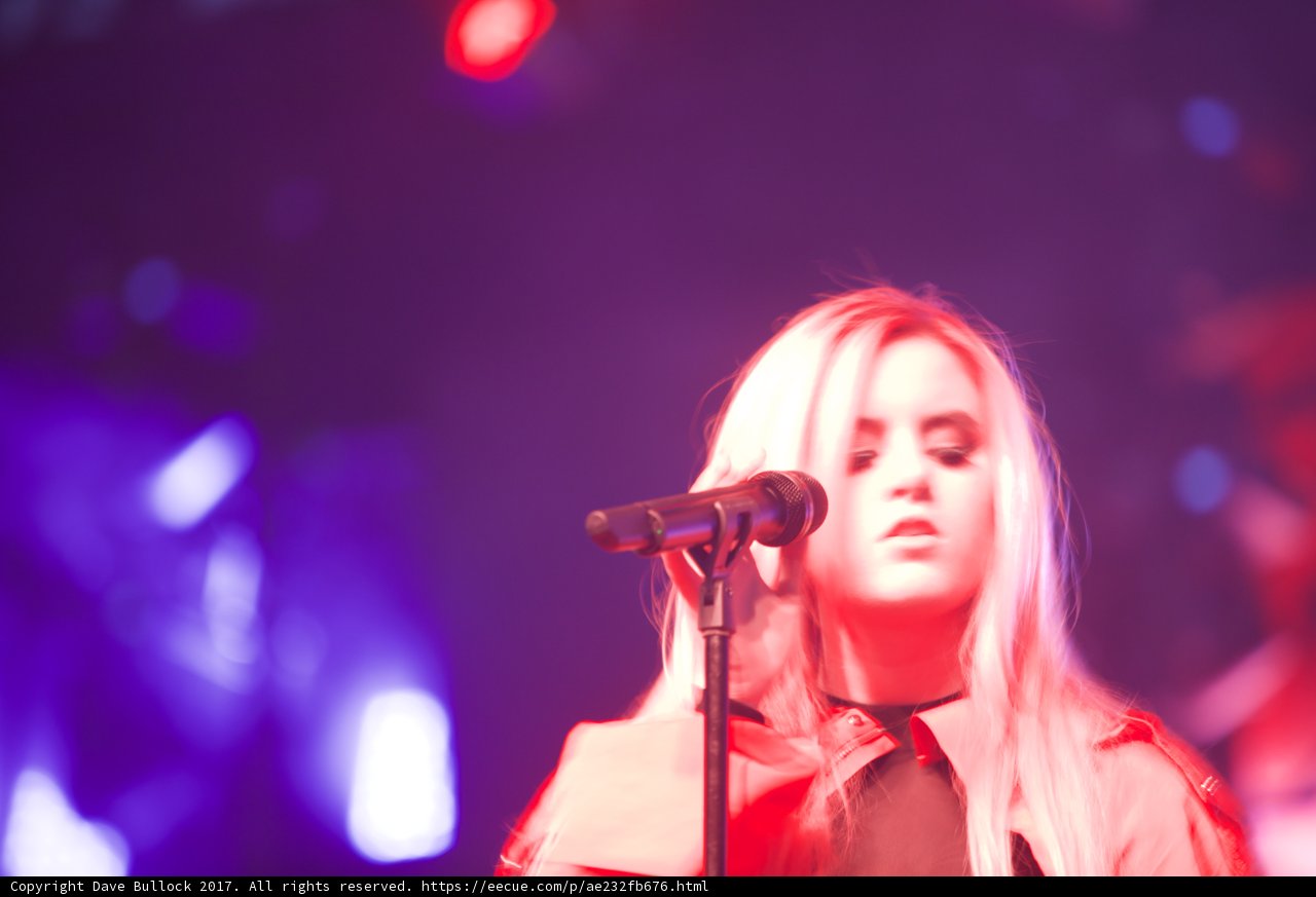 The Blonde Songstress Lights Up Coachella Stage