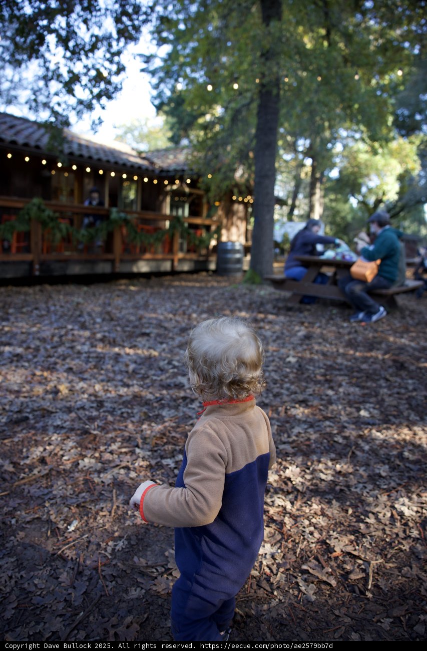 Autumn Afternoon at Thistlewyck