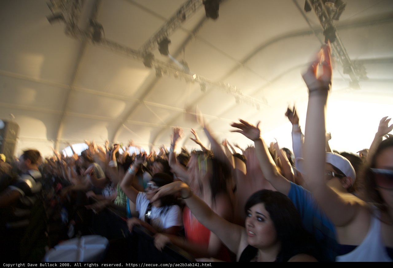 Coachella Crowd Goes Wild