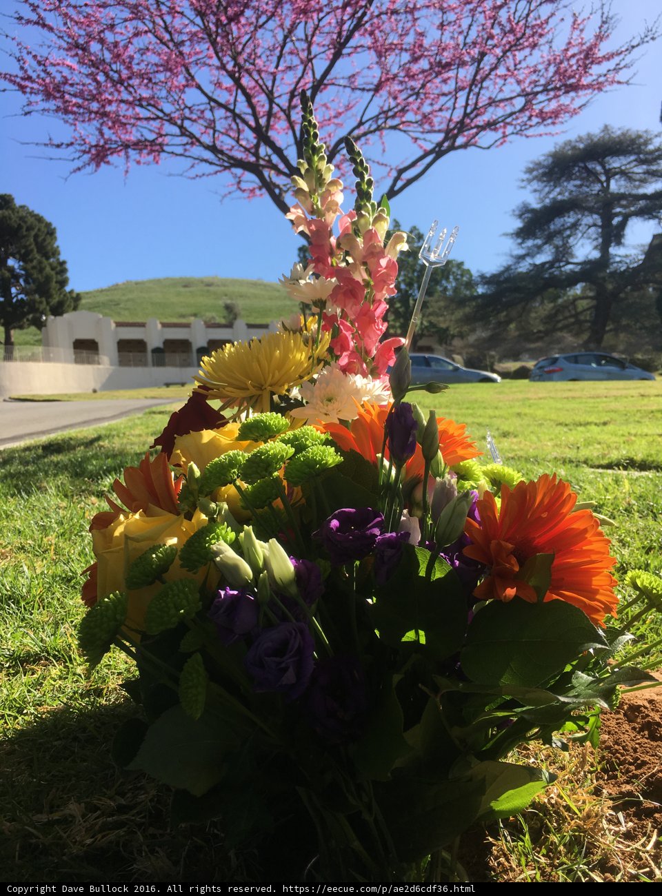 Flower Bouquet on the Green Grass