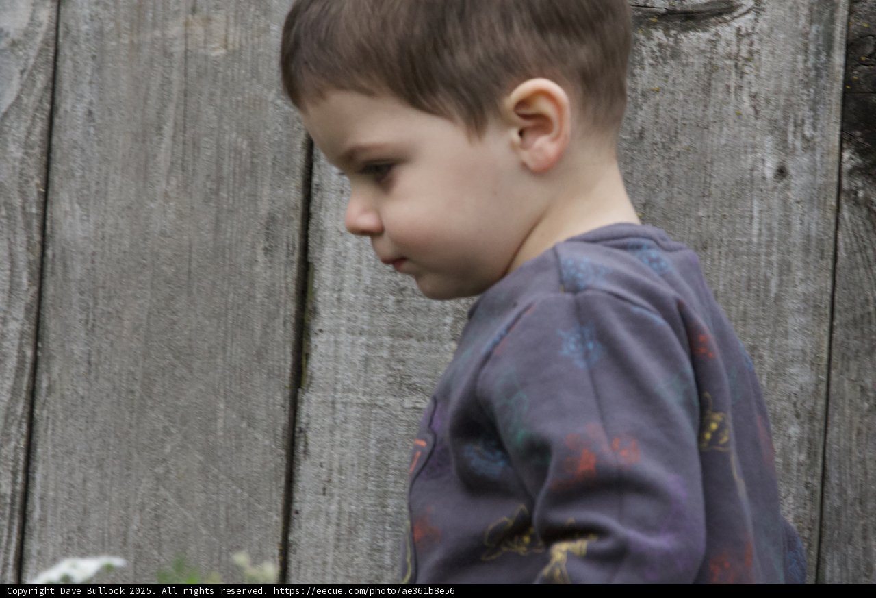 Contemplative Moments